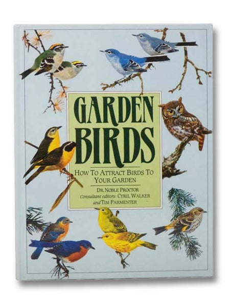 Garden Birds: How to Attract Birds to Your Garden