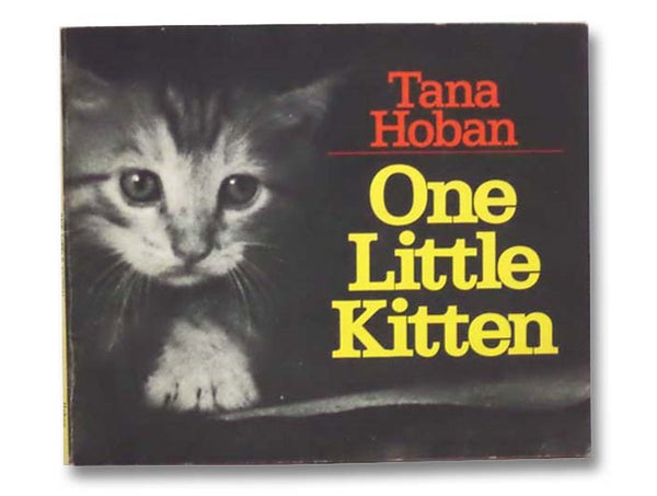 One Little Kitten