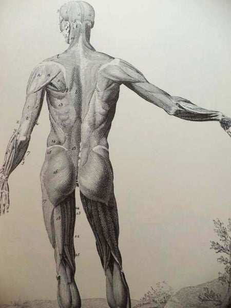 L'Encyclopedie Diderot and D'Alembert, in 40 Volumes (French Text)