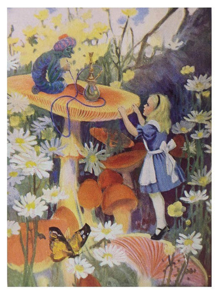 Alice in Wonderland and Through the Looking Glass (The Children's Bookshelf)