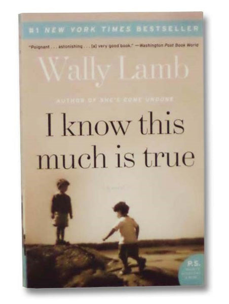 I Know This Much Is True: A Novel