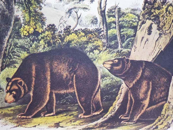 The Art of Audubon: The Complete Birds and Mammals