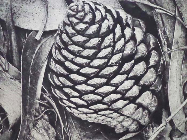 Modern Photography 1934-5: The Studio Annual of Camera Art