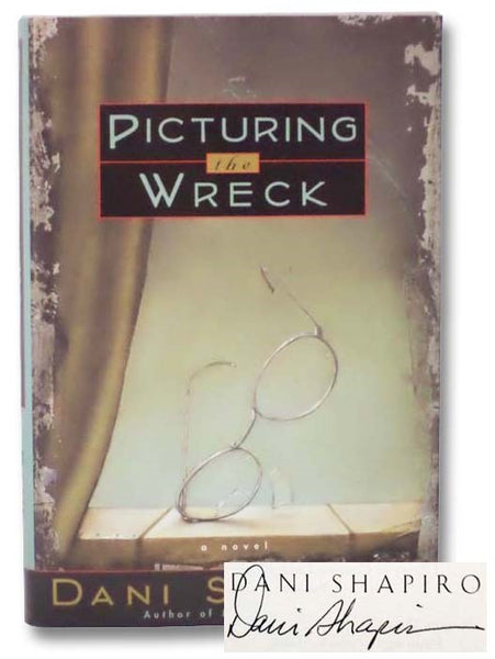 Picturing the Wreck: A Novel