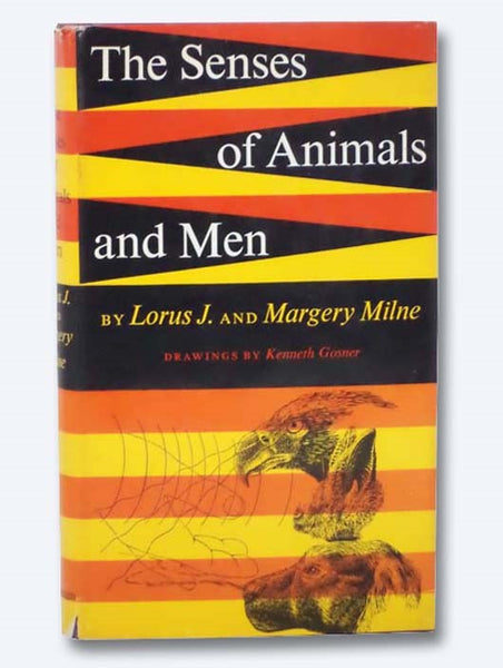 The Senses of Animals and Men