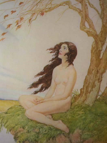 The Rubaiyat of Omar Khayyam: The First and Fourth Renderings in English Verse