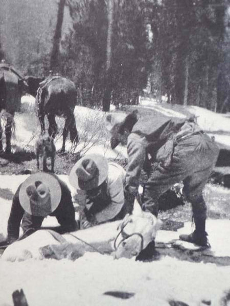 Camp and Trail