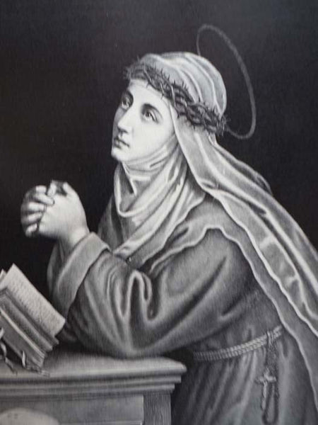 Catholic Truth and Biographies of Illustrious Saints, containing Teachings of the Holy Catholic Church and the Sacred Books of the Bible, as Interpreted by the One True Church Founded by Our Divine Saviour, Including the Ministry of Jesus; Gospel Story o…