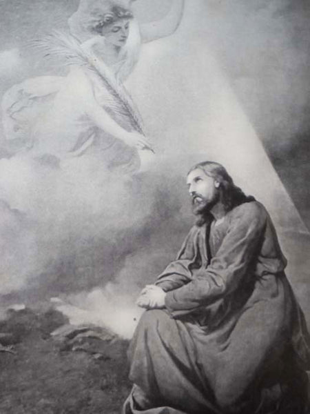 Catholic Truth and Biographies of Illustrious Saints, containing Teachings of the Holy Catholic Church and the Sacred Books of the Bible, as Interpreted by the One True Church Founded by Our Divine Saviour, Including the Ministry of Jesus; Gospel Story o…
