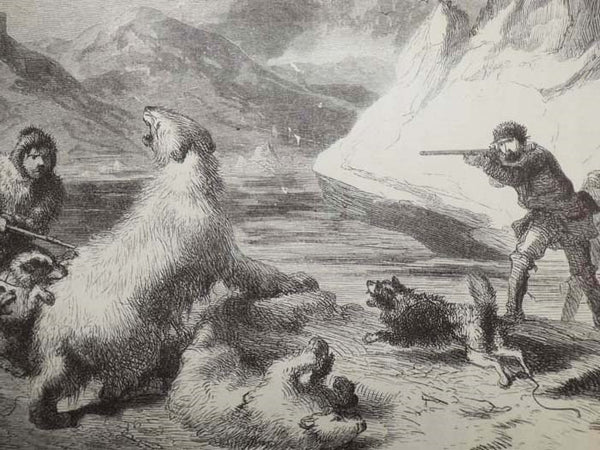 The Open Polar Sea: A Narrative of a Voyage of Discovery Towards the North Pole, in the Schooner 'United States.'