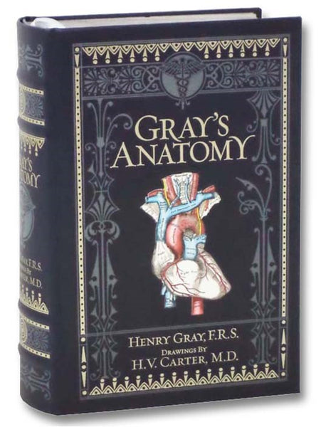 Gray's Anatomy