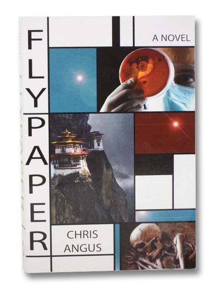 Flypaper: A Novel