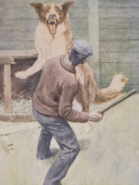 The Call of the Wild