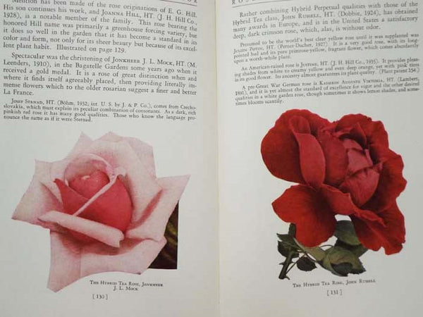 Roses of the World in Color