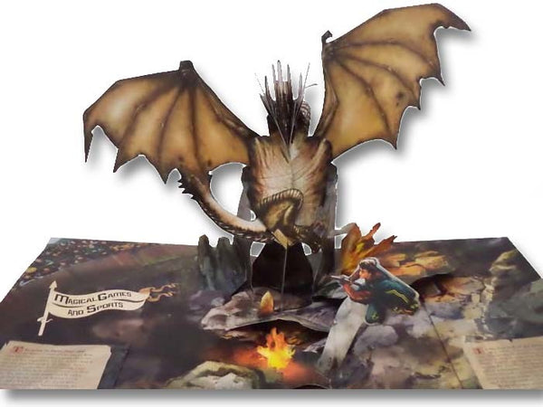 Harry Potter: A Pop-Up Book Based on the Film Phenomenon