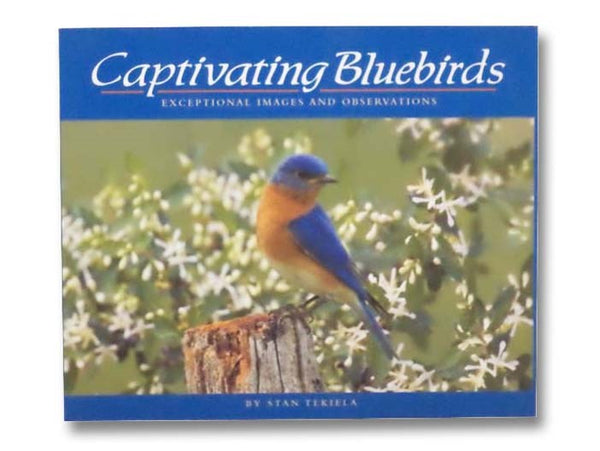 Captivating Bluebirds: Exceptional Images and Observations