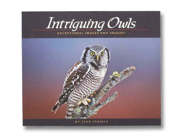 Intriguing Owls: Exceptional Images and Insight