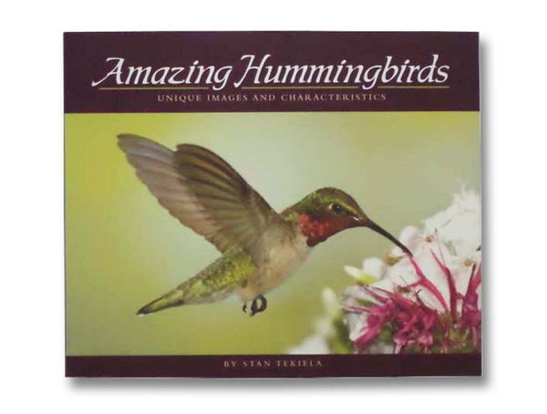 Amazing Hummingbirds: Unique Images and Characteristics