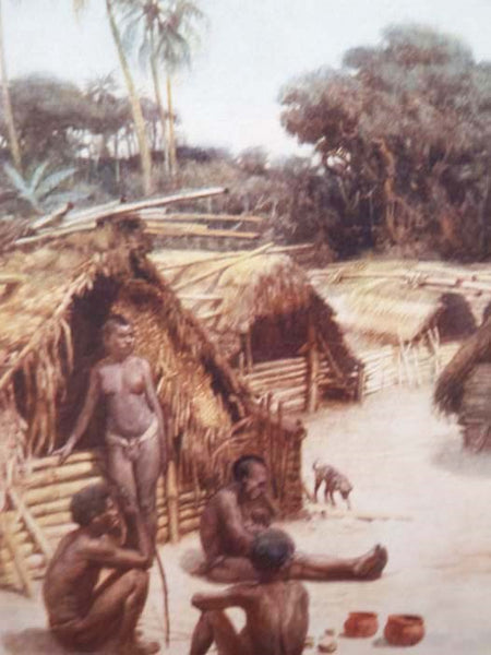 The Savage South Seas