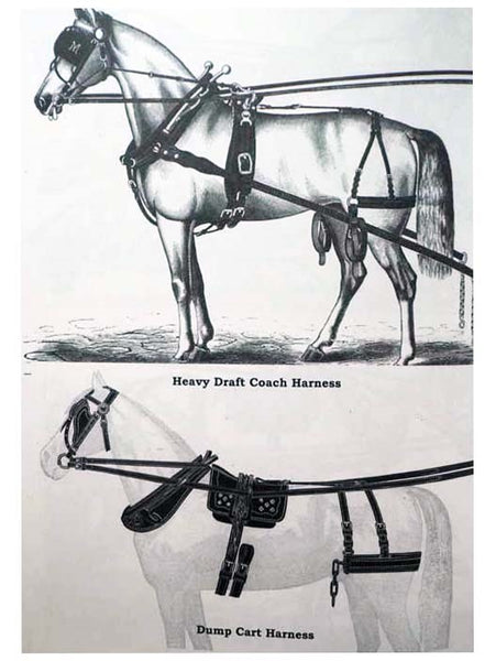 Work Horse Handbook