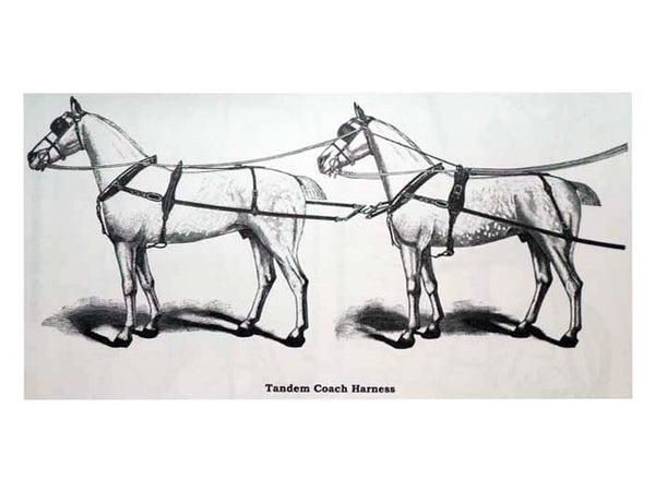 Work Horse Handbook