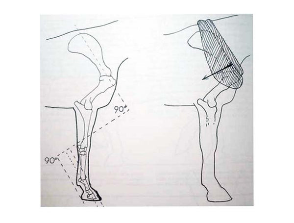 Work Horse Handbook