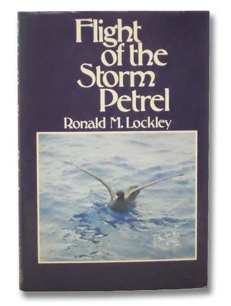 Flight of the Storm Petrel