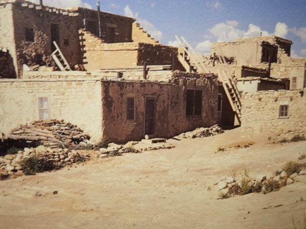 Native American Architecture