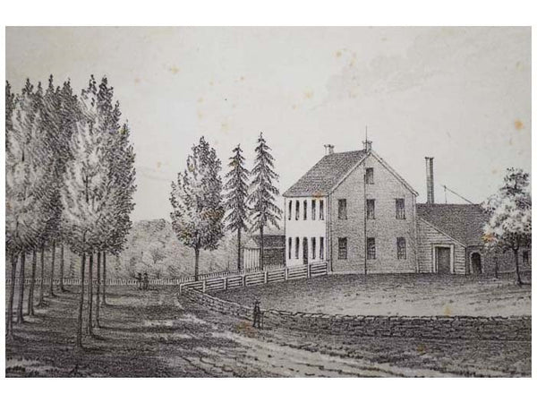 Life of Captain Nathan Hale: The Martyr-Spy of the American Revolution