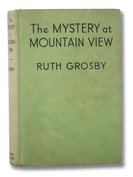 The Mystery at Mountain View (The Barbara Ann Mystery Series Book 2)