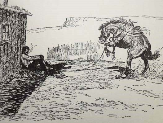 Lone Cowboy: My Life Story