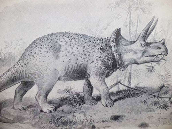 Extinct Monsters. A Popular Account of Some of the Larger Forms of Ancient Animal Life