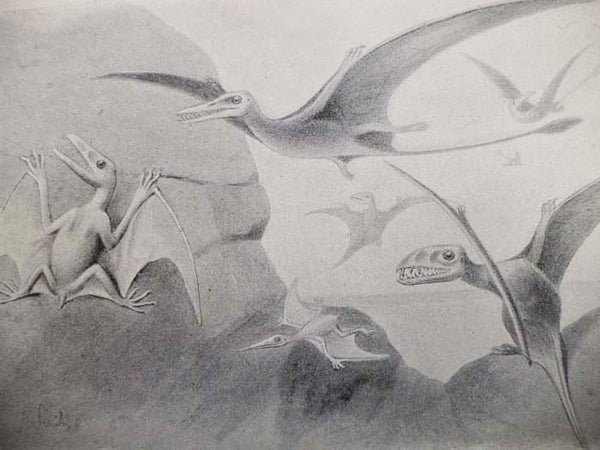Extinct Monsters. A Popular Account of Some of the Larger Forms of Ancient Animal Life