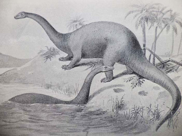 Extinct Monsters. A Popular Account of Some of the Larger Forms of Ancient Animal Life