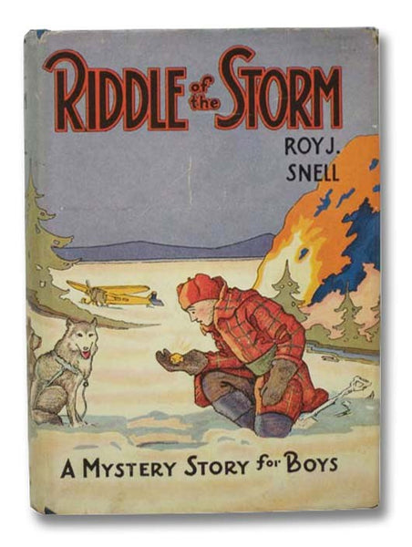 Riddle of the Storm (A Mystery Story for Boys)