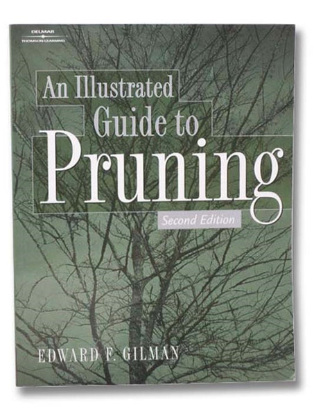 An Illustrated Guide to Pruning