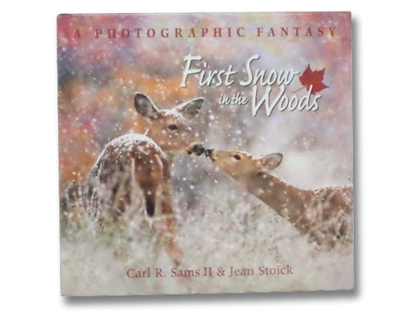 First Snow in the Woods: A Photographic Fantasy