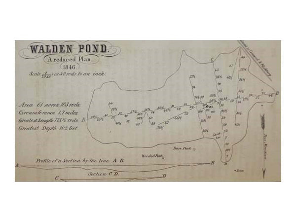 Walden; or, Life in the Woods.