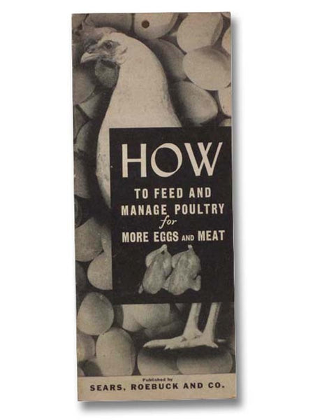 How to Feed and Manage Poultry for More Eggs and Meat