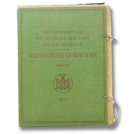 Wild Flowers of New York: The University of the State of New York State Museum [Wildflowers]