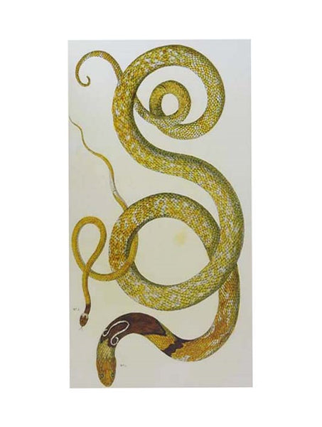 Cabinet of Natural Curiosities: The Colored Plates, 1734-1765
