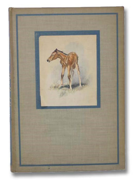 The Red Pony