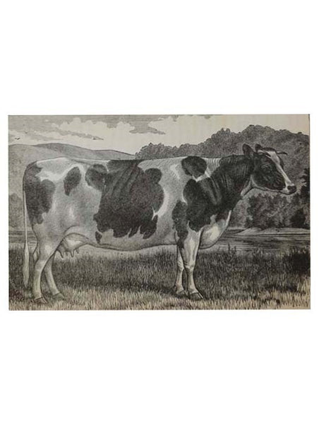 The Illustrated Stock Doctor and Live-Stock Encyclopedia, Including Horses, Cattle, Sheep, Swine and Poultry, with All the Facts Concerning the Various Breeds and Their Characteristics, Breaking, Training, Sheltering, Buying, Selling, Profitable Use, and…