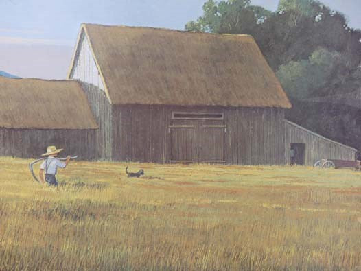 An Age of Barns