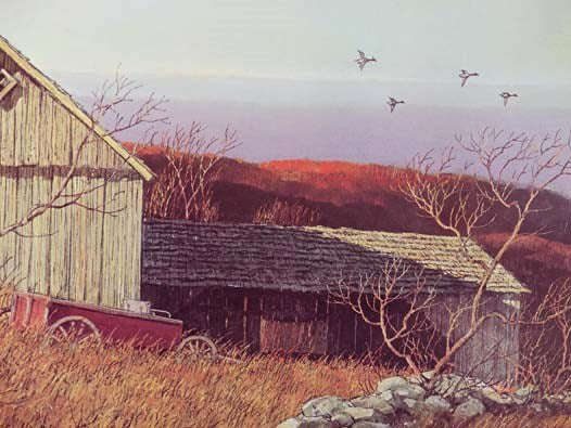 An Age of Barns
