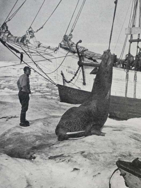 Hunting in the Arctic and Alaska