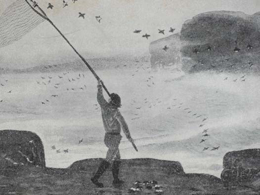 Our Arctic Province: Alaska and the Seal Islands