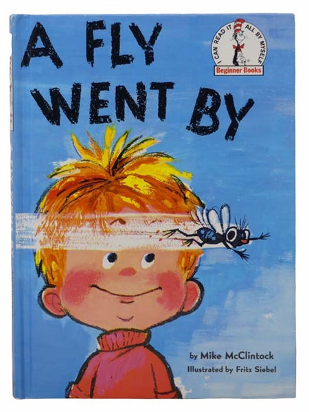 A Fly Went By