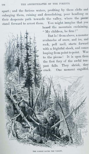 The Mountain. From the French of Michelet. By the Translator of "The Bird"