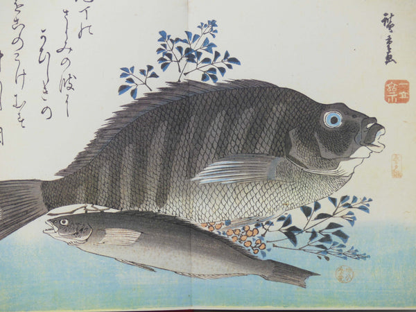 Hiroshige: A Shoal of Fishes